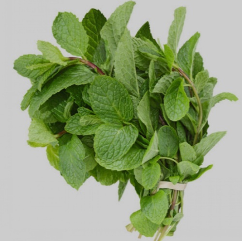 Mint Leaves
